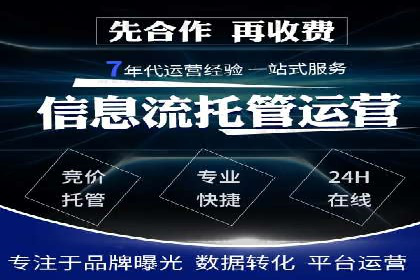 SEM代理服务：提升广告投放效果